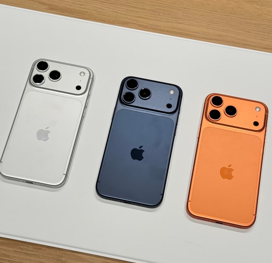 581221691_122200919270048139_2929504534610348057_n.jpg